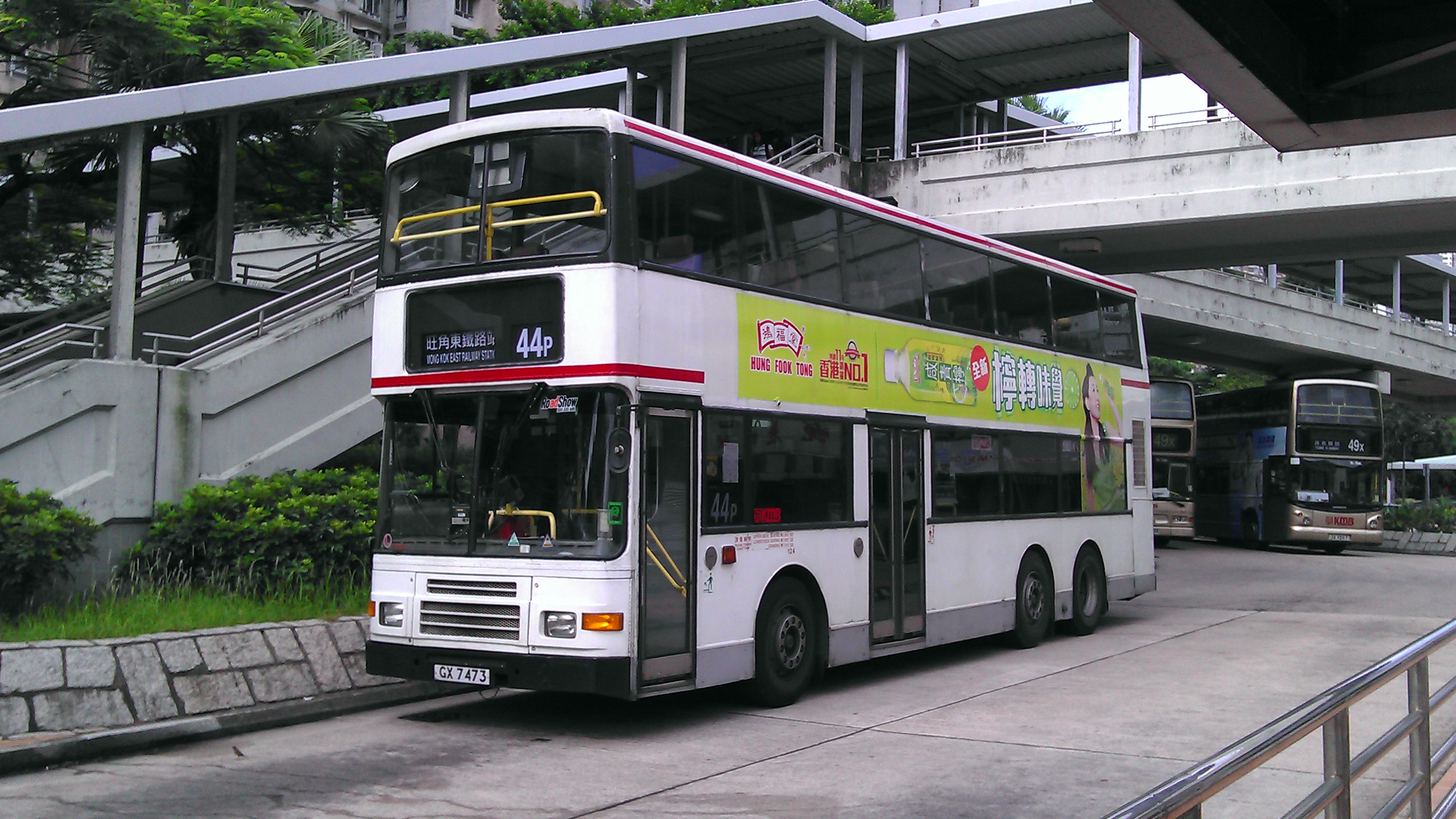 IMAG8095.jpg