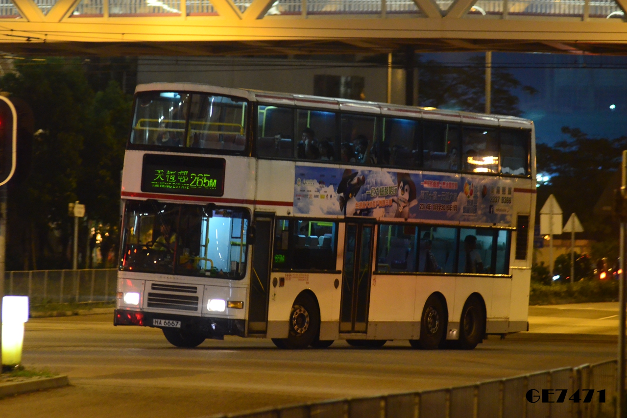 DSC_5317.JPG