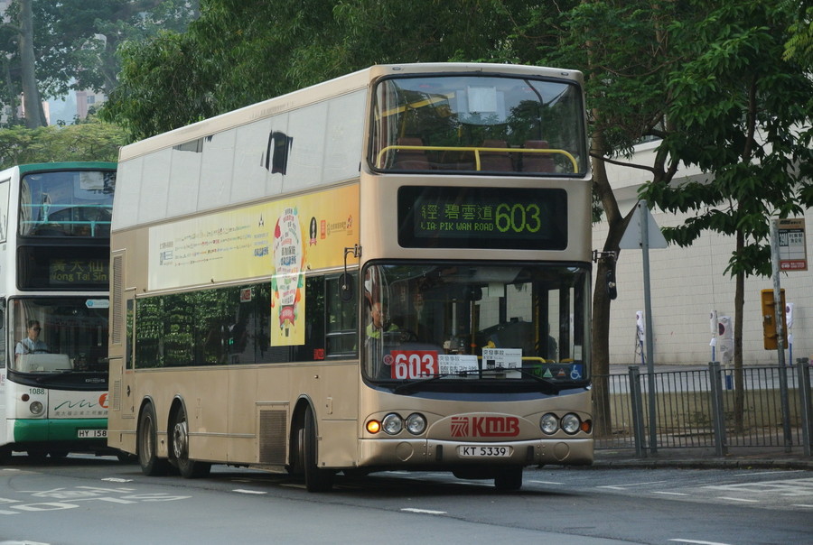 DSC_6895.JPG