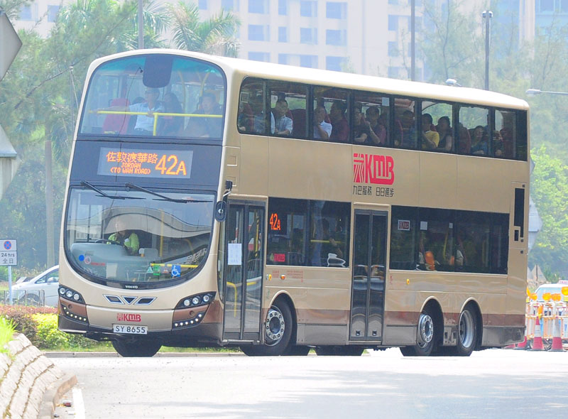 SY8655_42A_1.jpg
