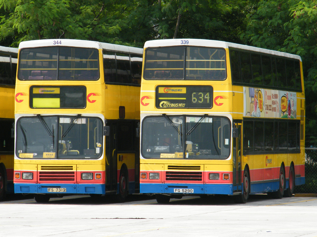 339.jpg