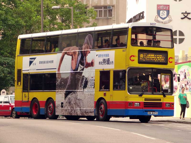 9037.jpg
