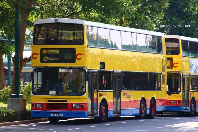 384.JPG