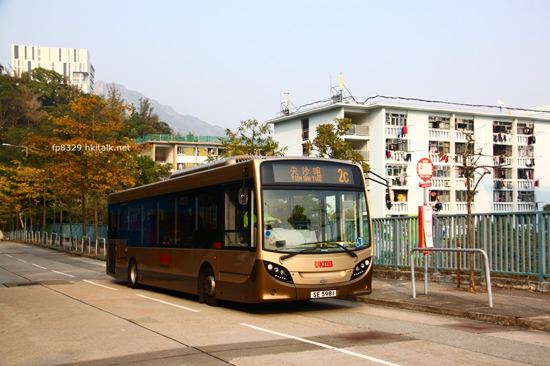SE5981.JPG