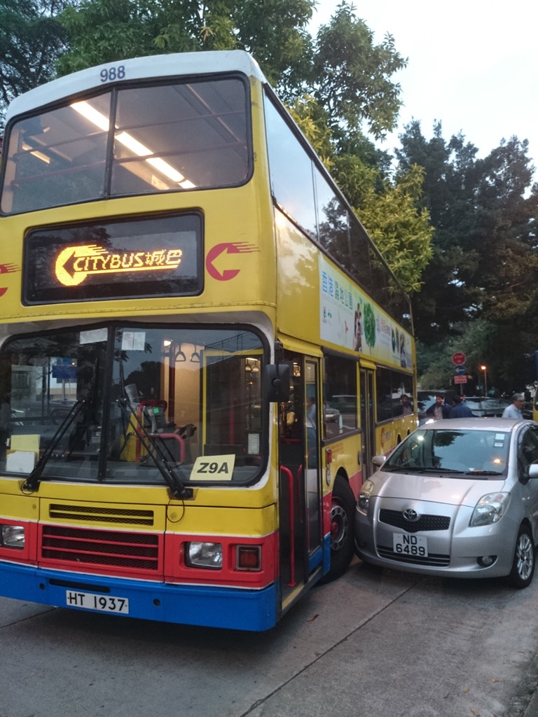 DSC_7772.JPG