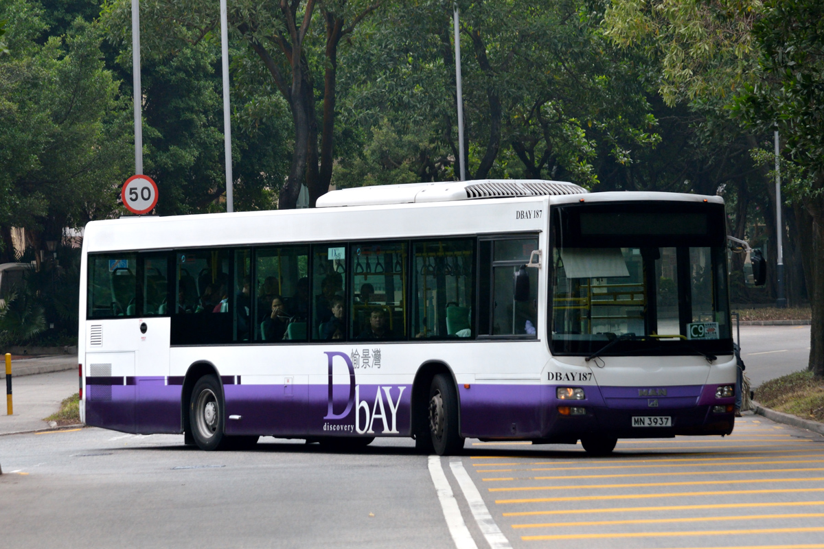 DBAY187.jpg