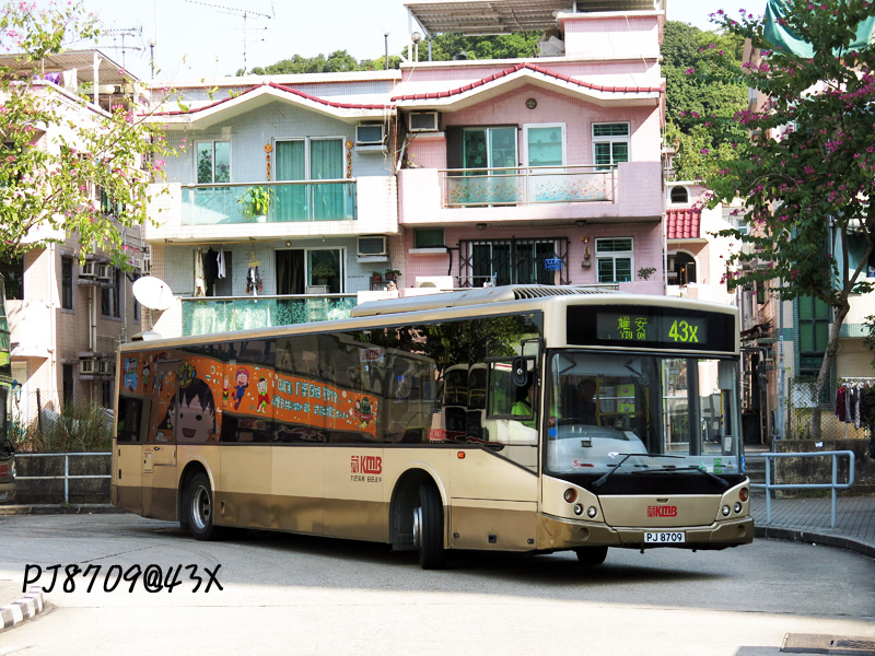 PJ8709.jpg