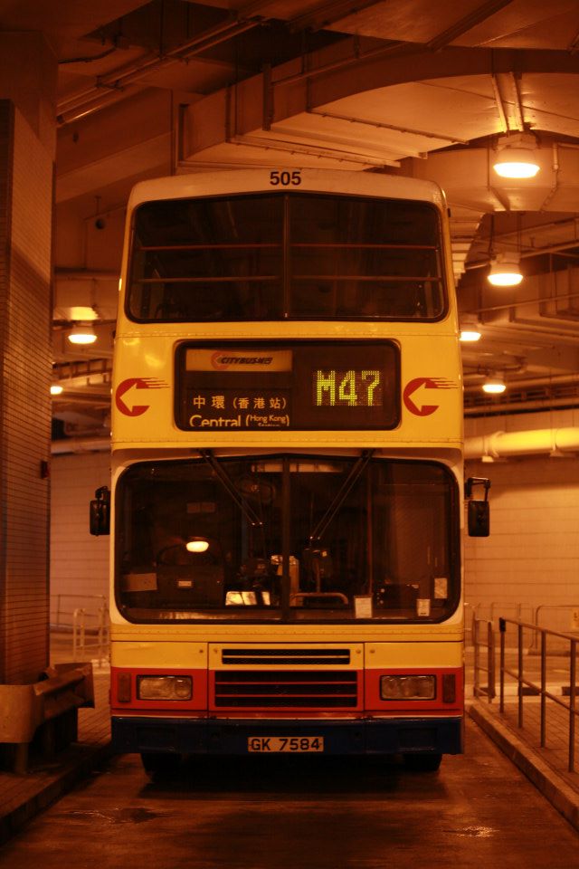 505.jpg