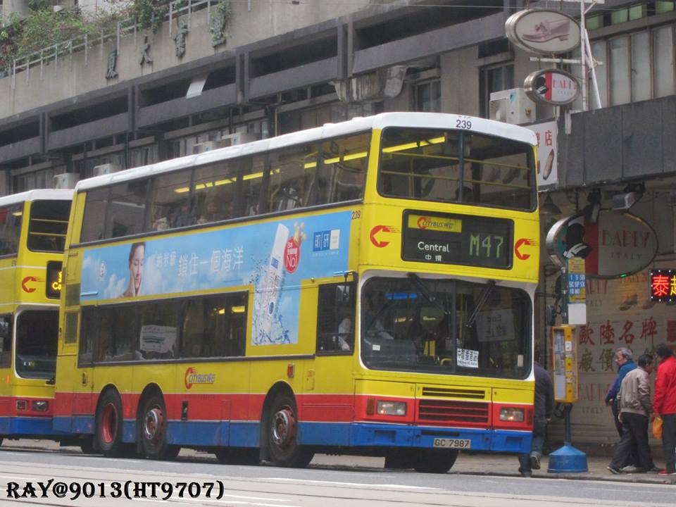 239.jpg