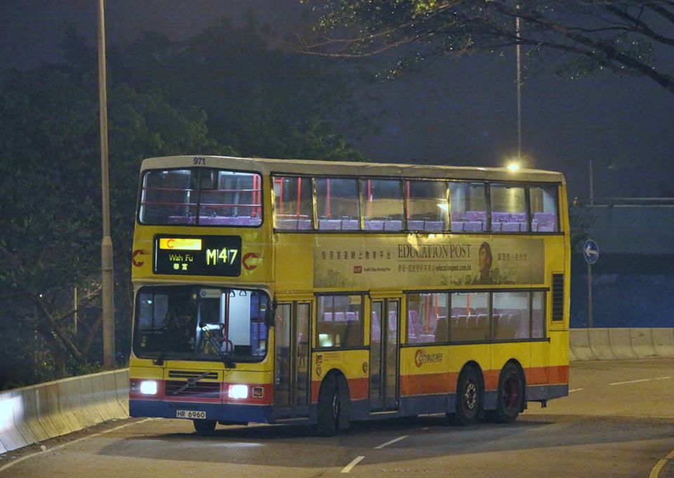 971.jpg