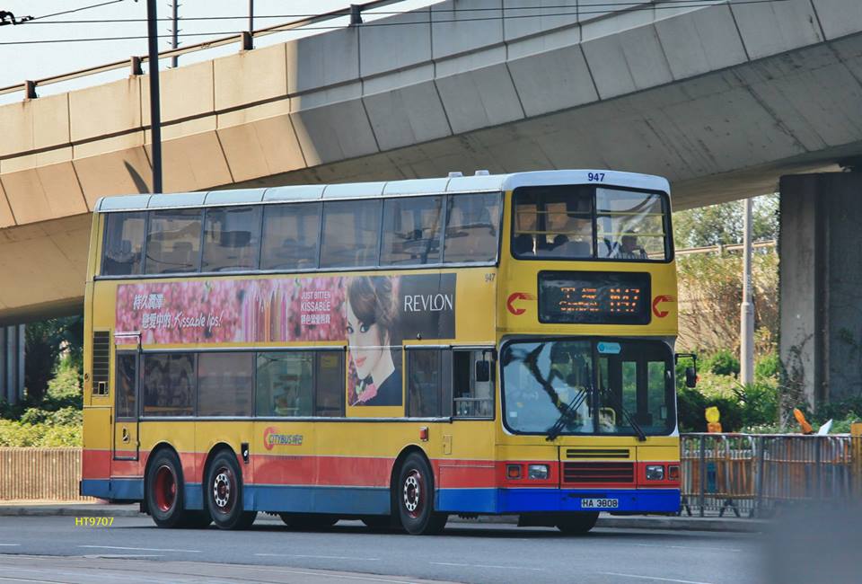 947.jpg