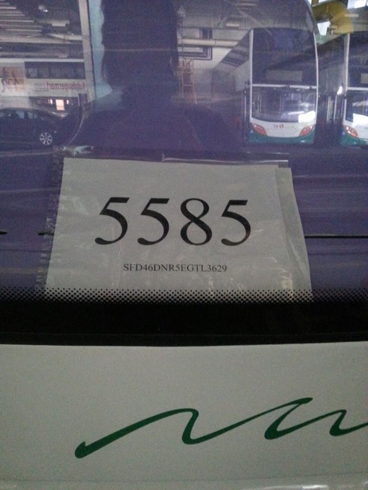 5585.jpg