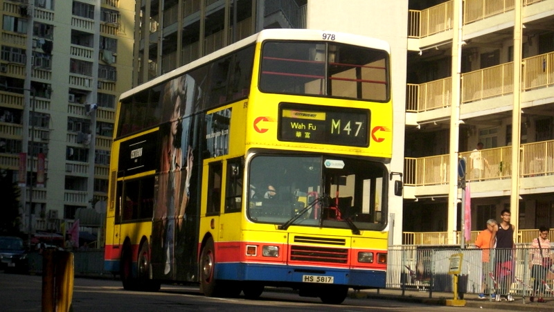 p8900485.jpg