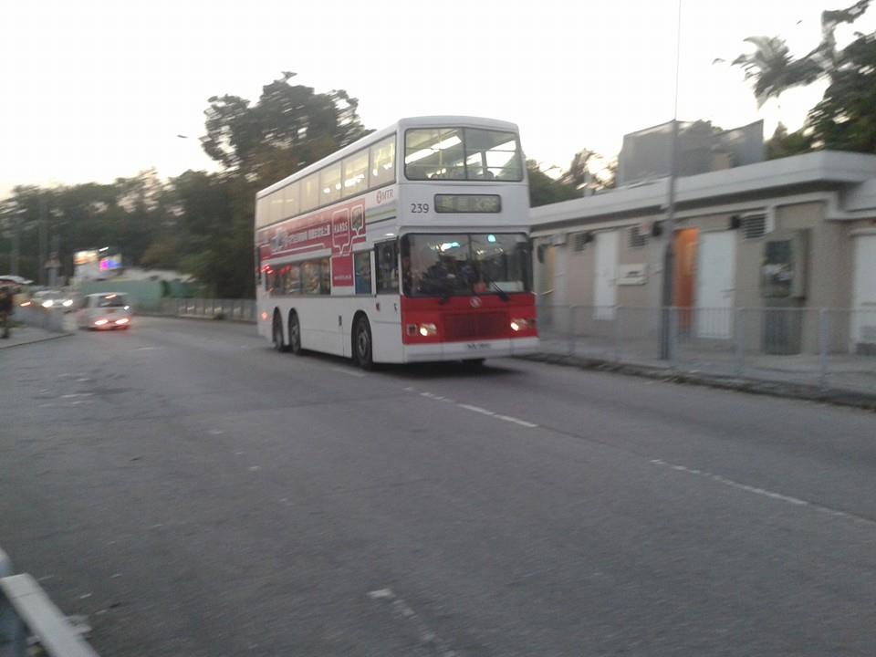 239-K66.jpg
