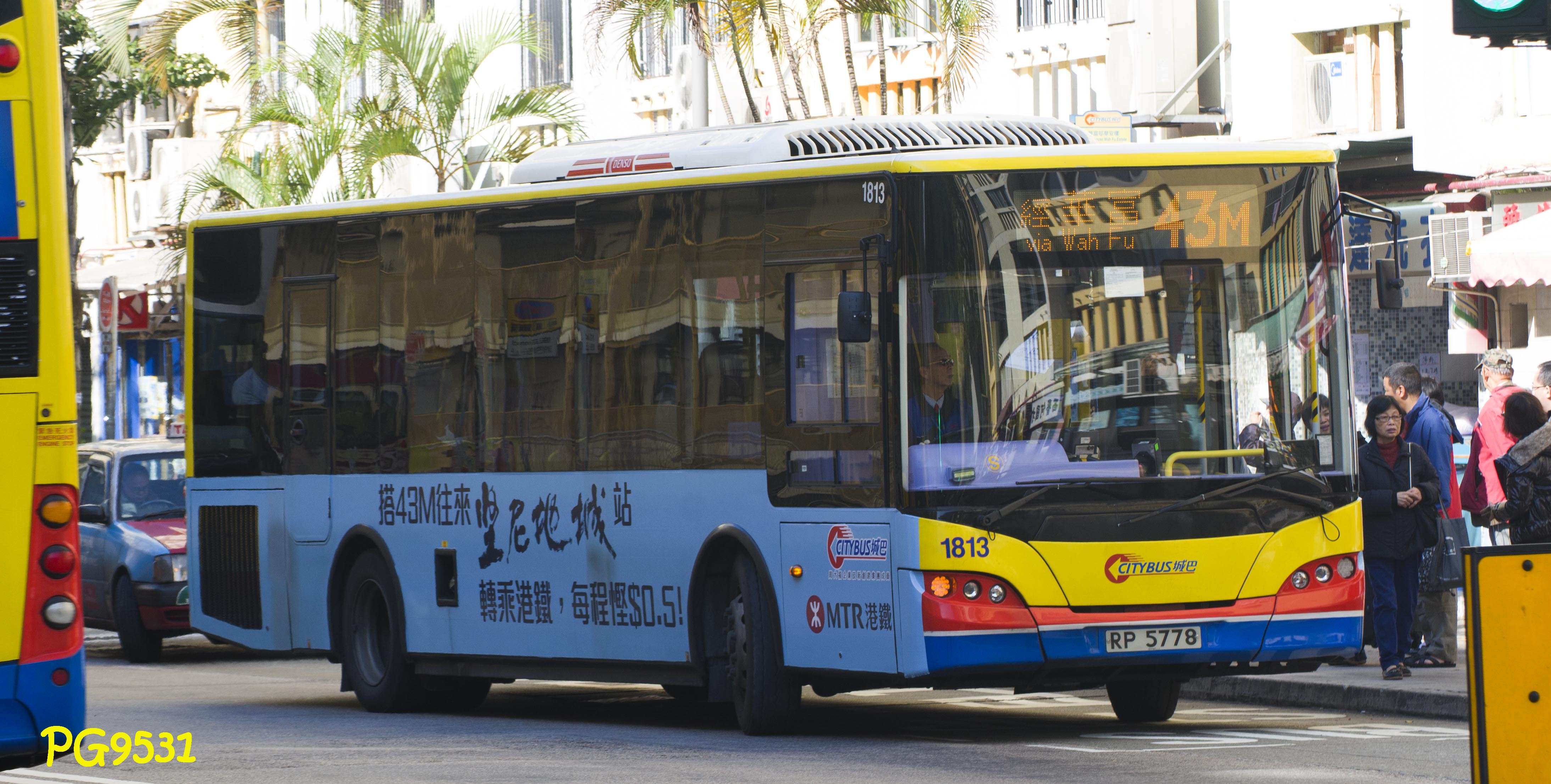 DSC_7998.jpg