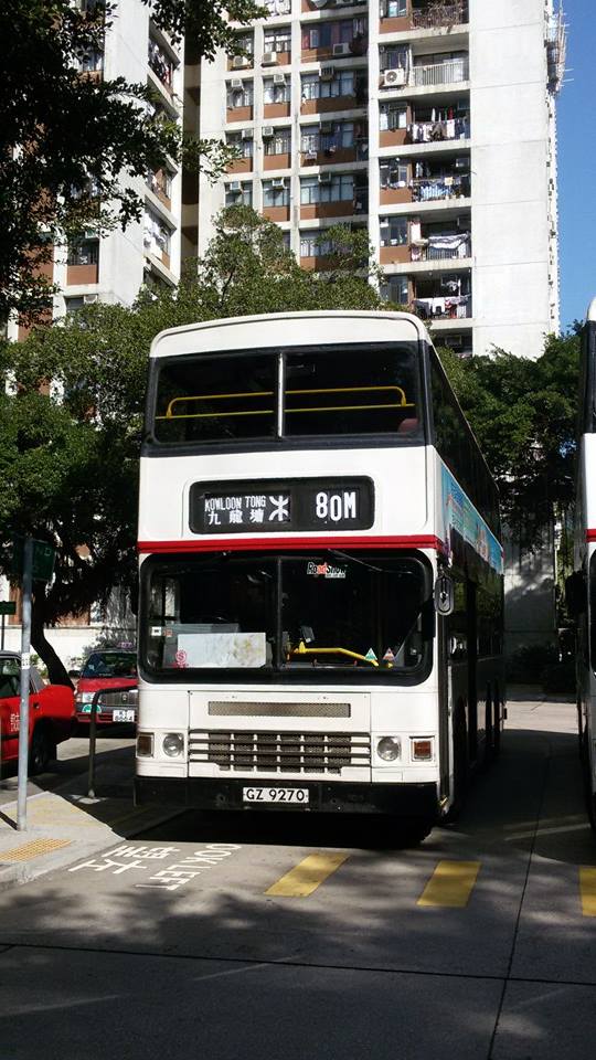 80M.jpg