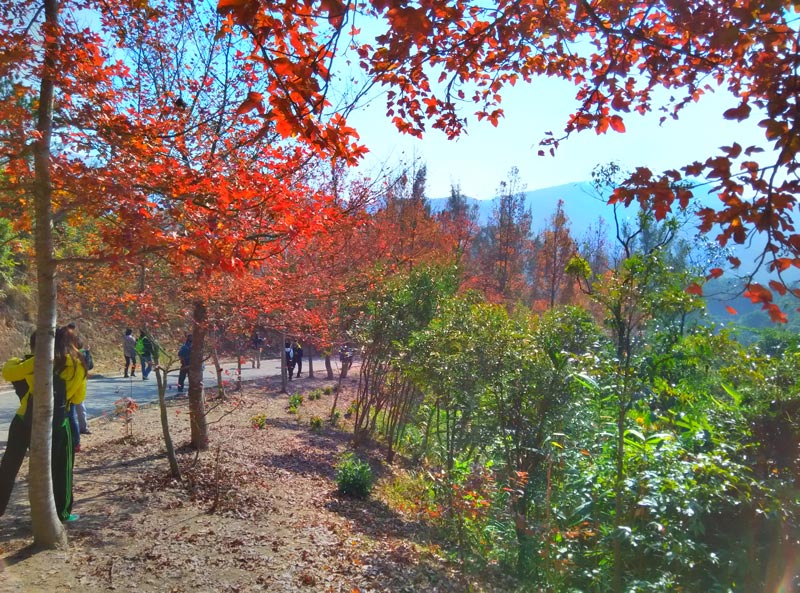 20150101.jpg