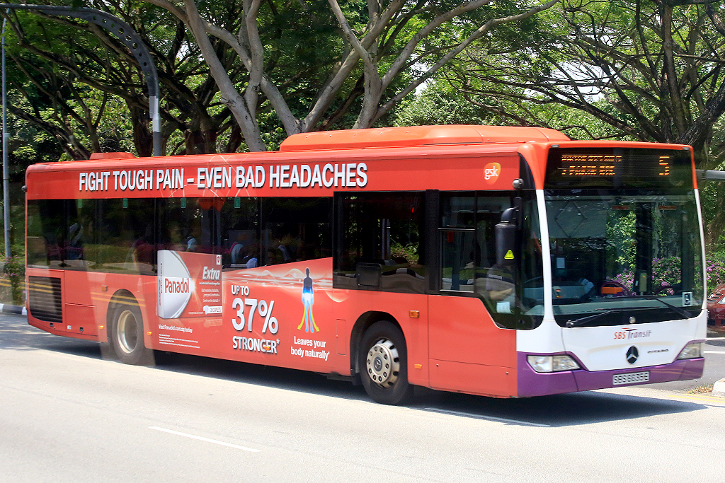 3X6A8853.JPG