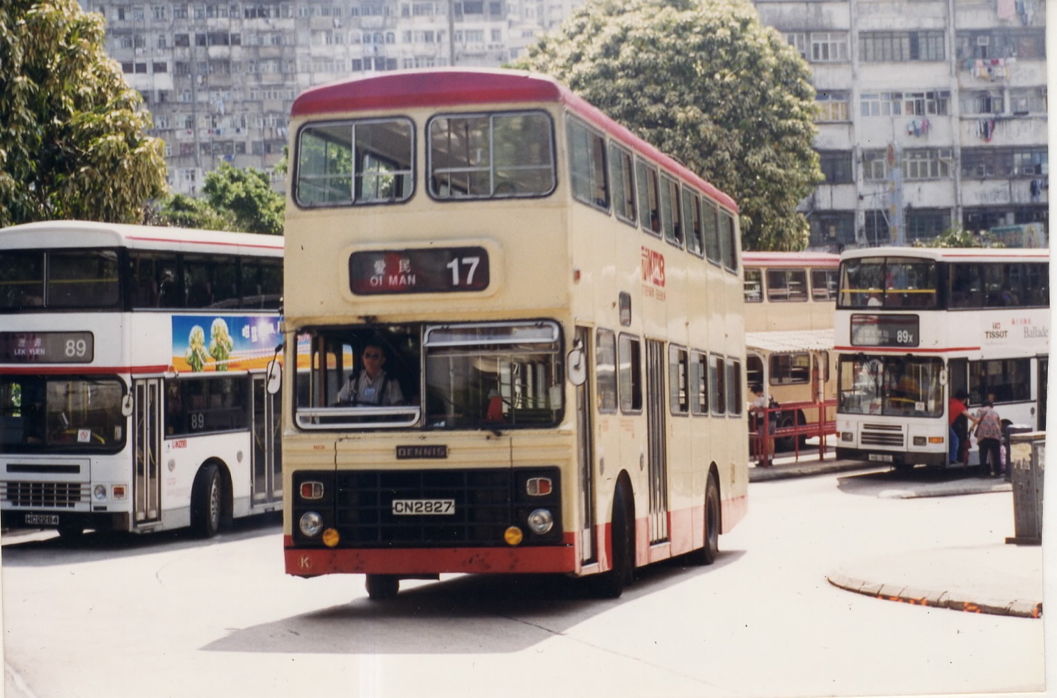 EPSON003.JPG