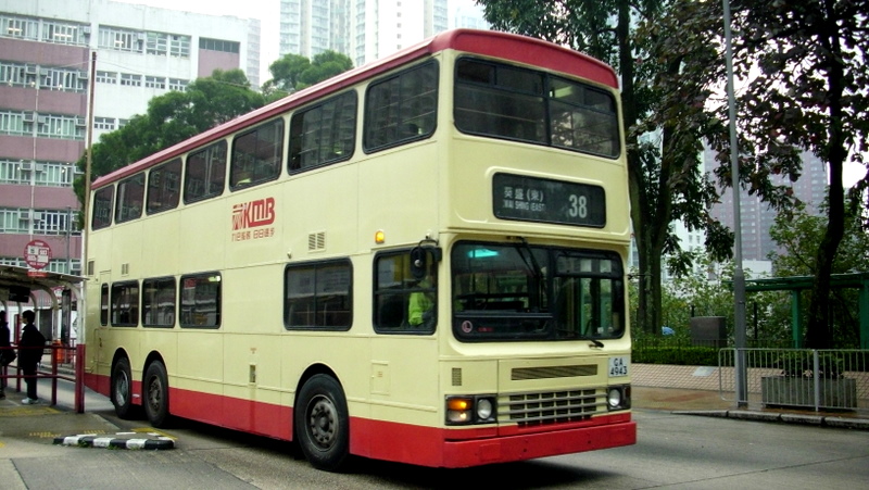 p8800356.jpg