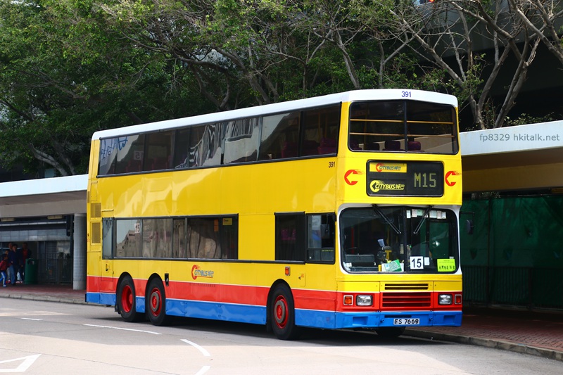 391.JPG