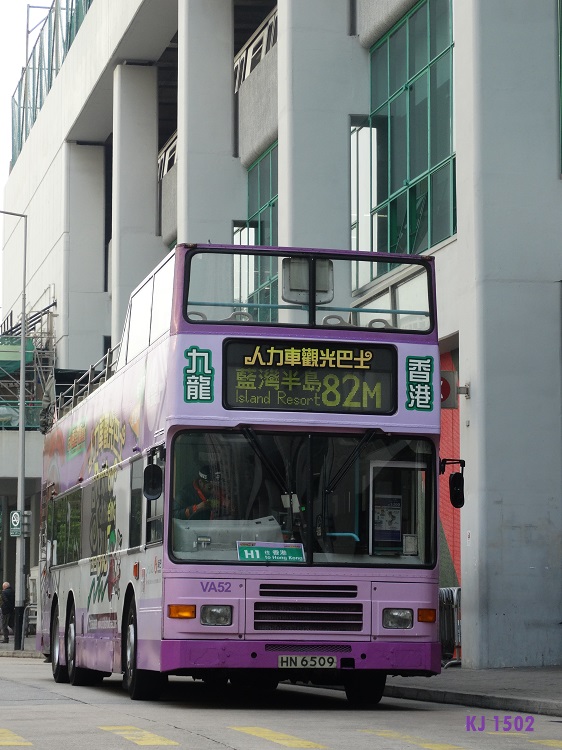 DSC02255.JPG