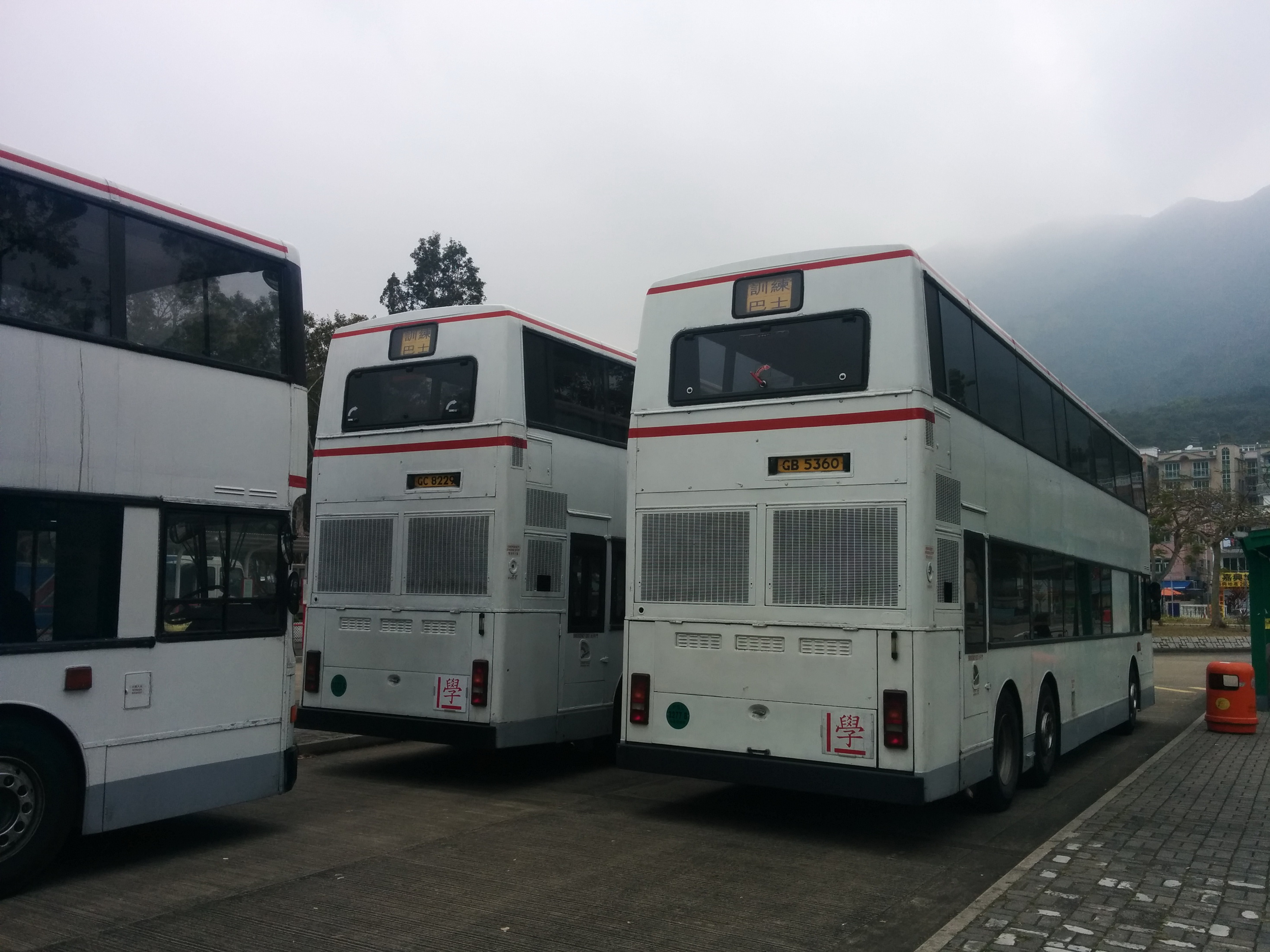 IMG_20150204_120114.jpg