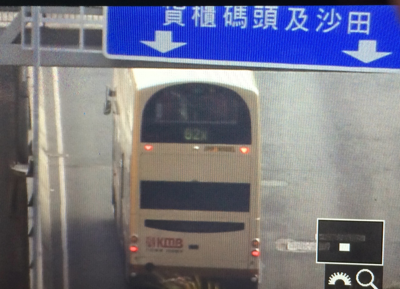 PP9062.jpg