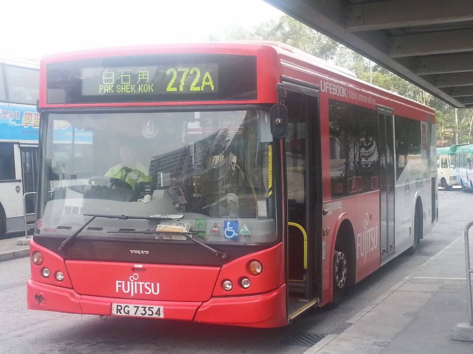 7354.jpg