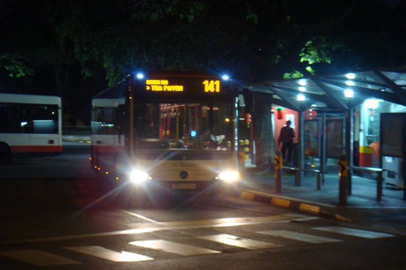 131.JPG