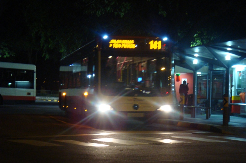132.JPG