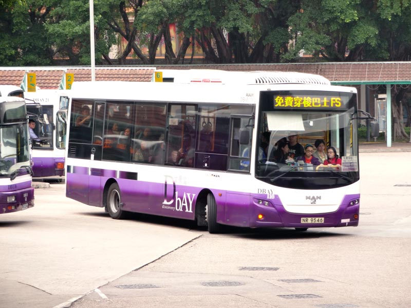 D110.jpg