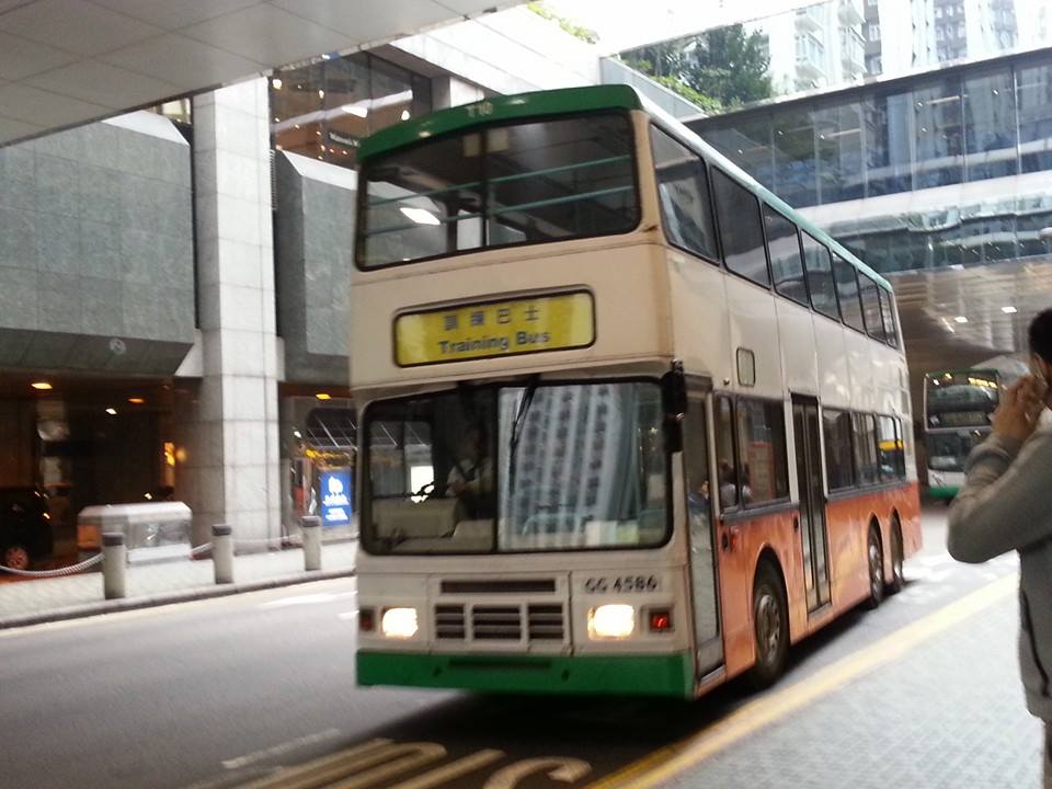 T10.jpg