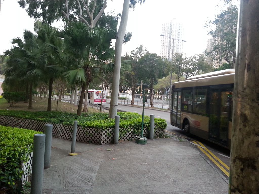 20150227_180812.jpg