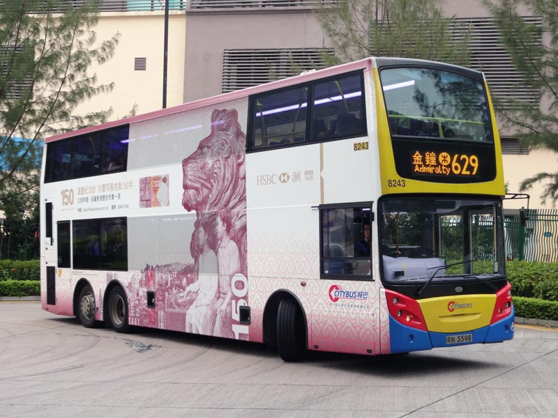 8243.jpg
