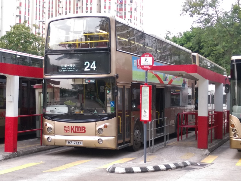 hz7137-24-a.jpg