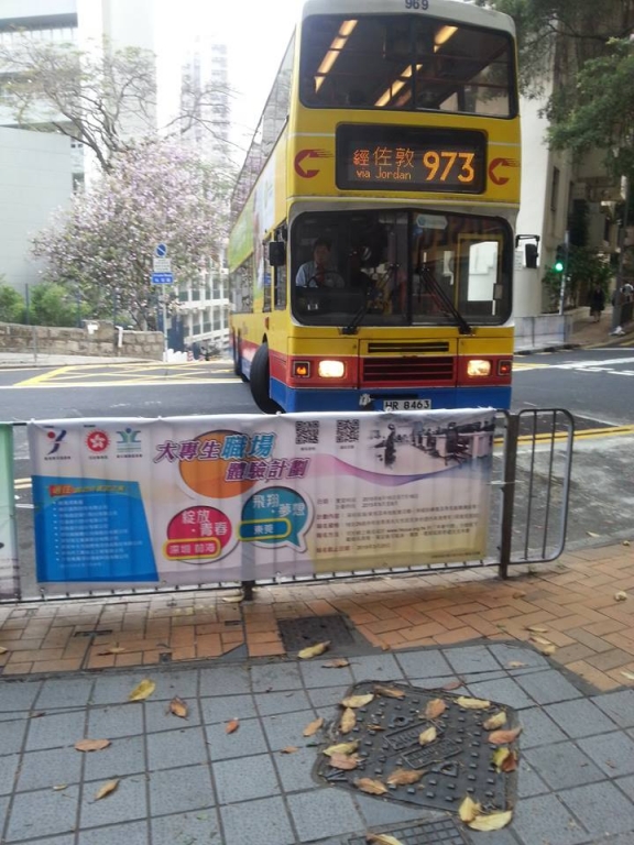 973-1.jpg