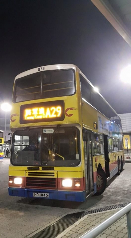 873.jpg