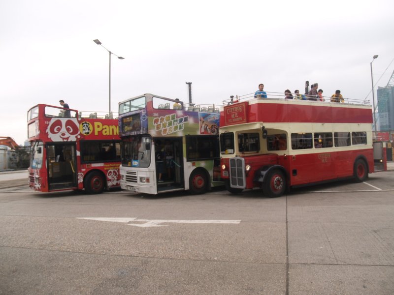 bclub_1_191_205_10a.jpg