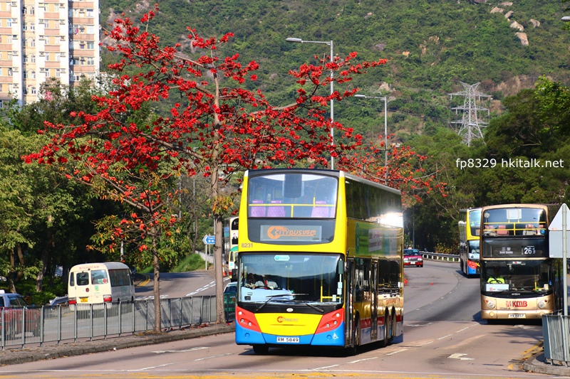 B3.jpg