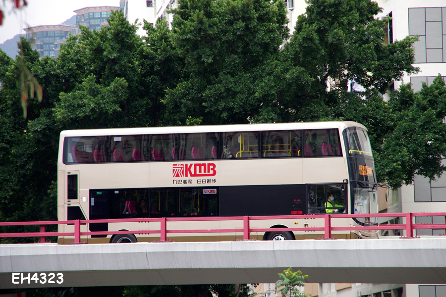 SY4050_606.jpg