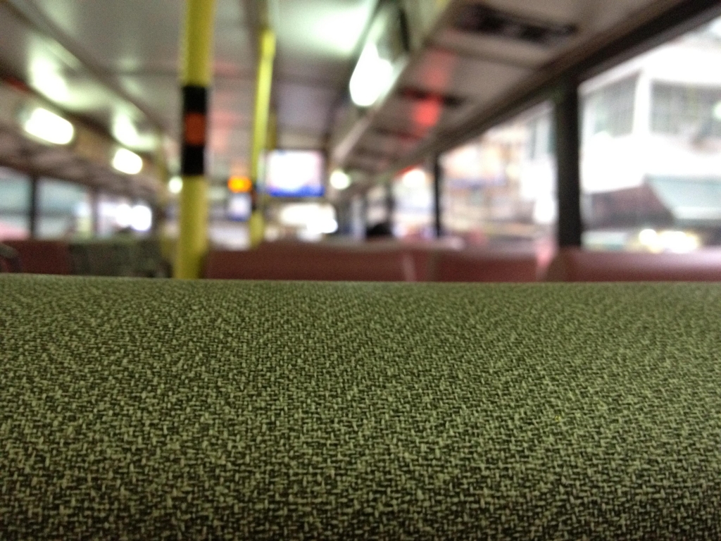 grey seat dragon 2.jpg