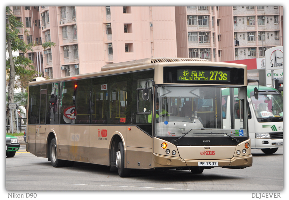 PE793.jpg