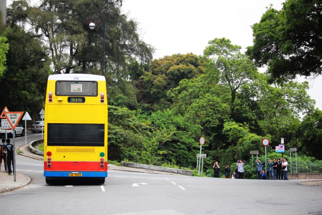 315 4.jpg