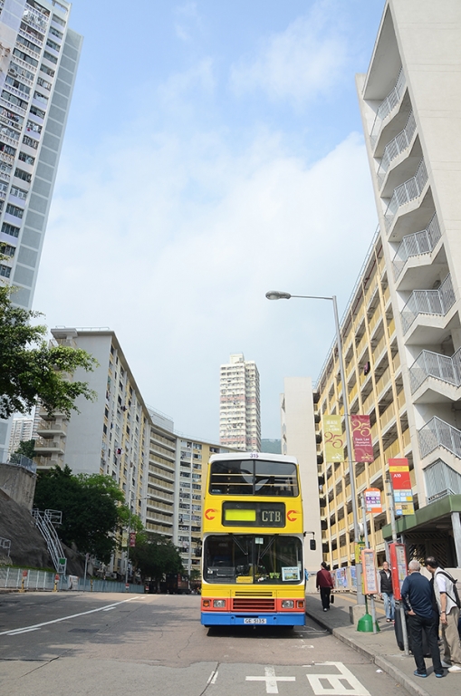 DSC_3880.JPG