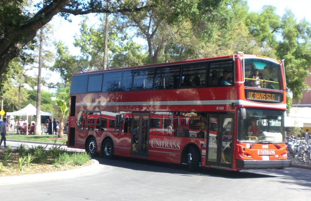 CIMG9020.JPG
