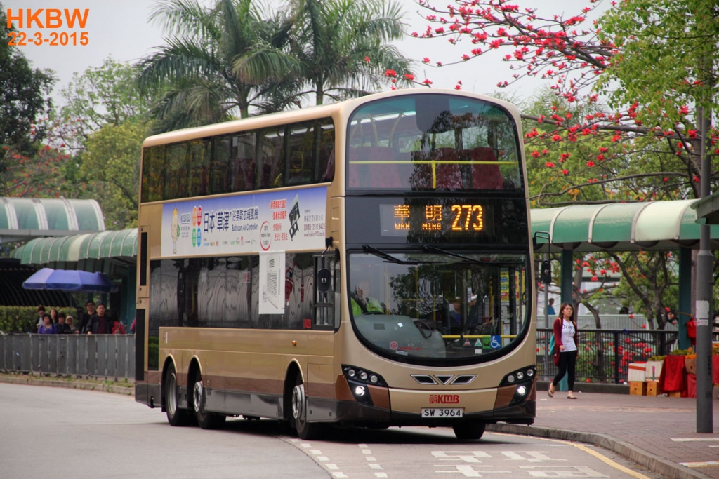 SW3964frin273a.jpg