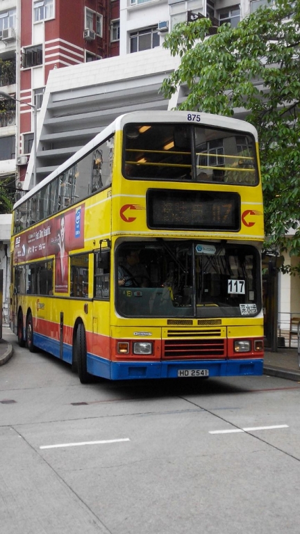 875-117.jpg