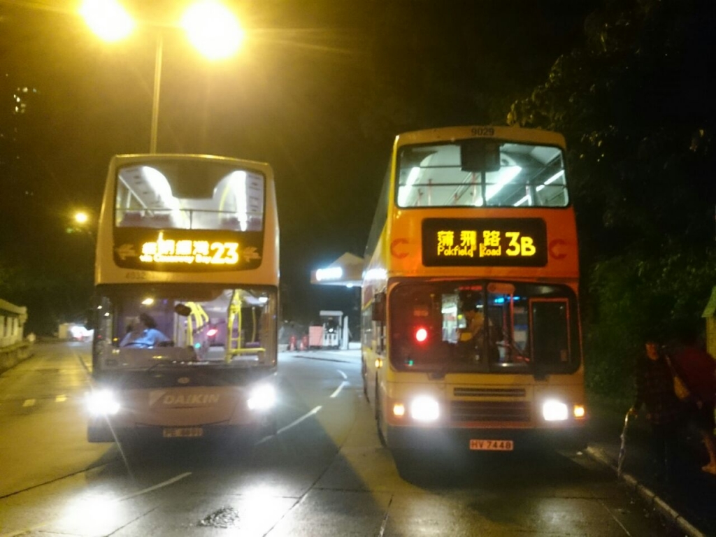 3B-D.jpg