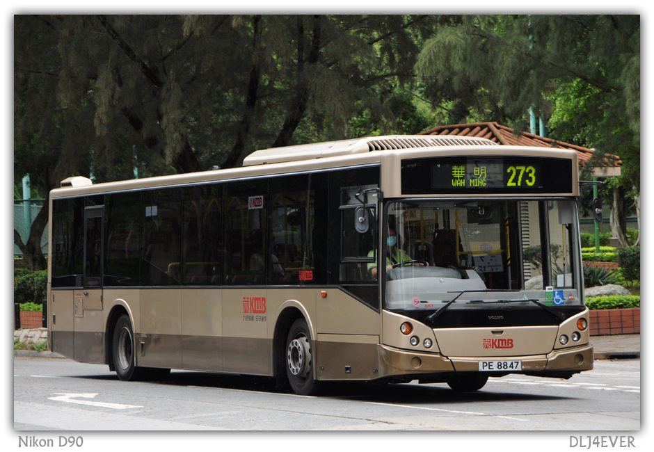 PE8847@273.jpg